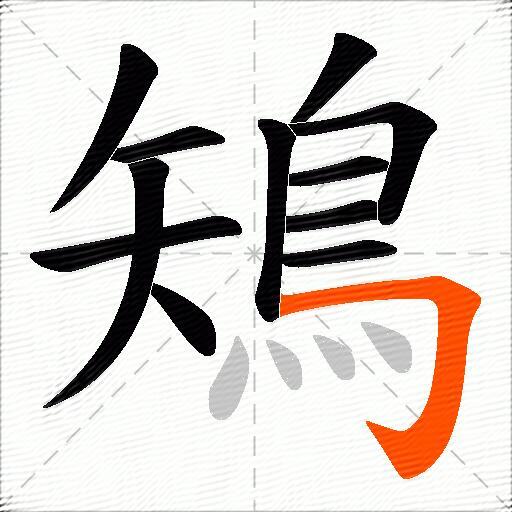 鴙