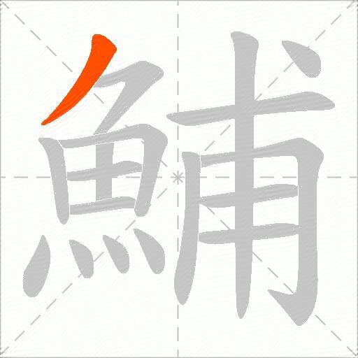 鯆
