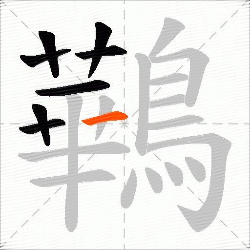鷨