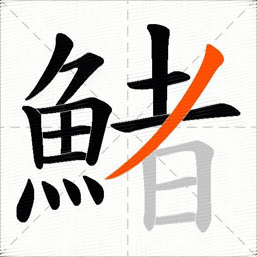 鯺