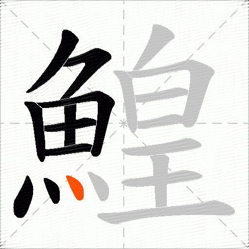 鰉