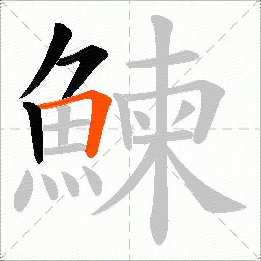 鰊