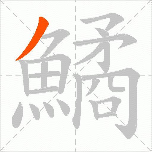 鱊