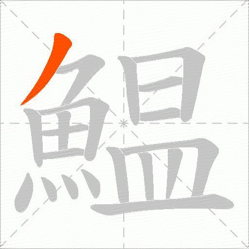 鰛