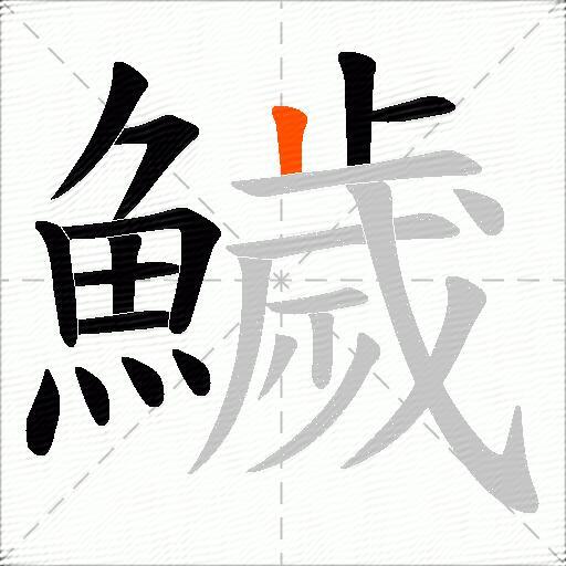 鱥