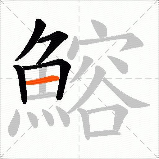 鰫