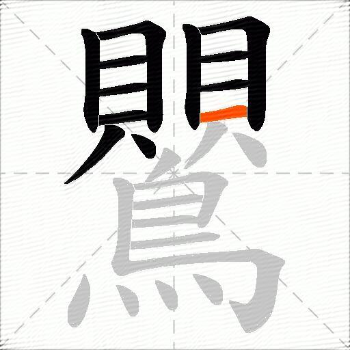 鸎