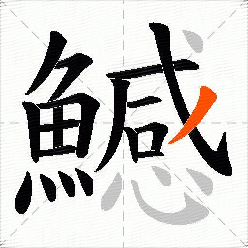 鱤