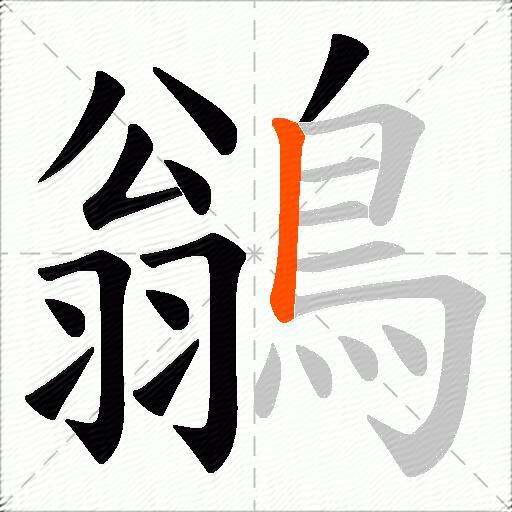 鶲