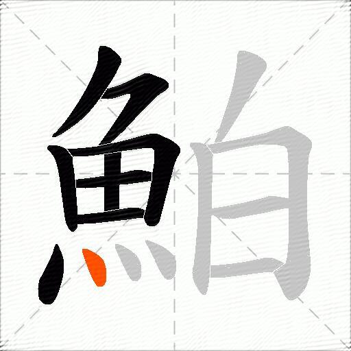 鮊