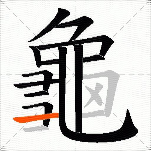 龜