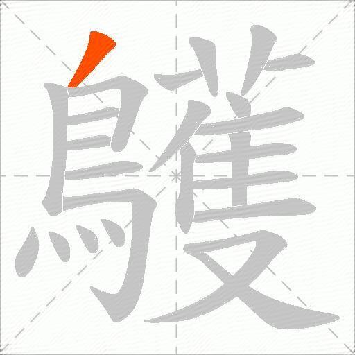 鸌