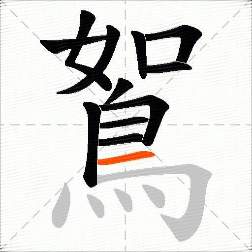 鴽