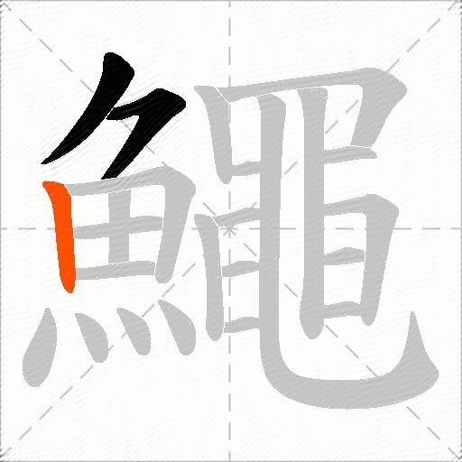 鱦