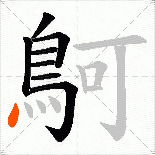 鴚