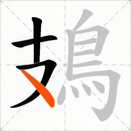 鳷