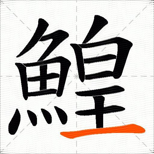 鰉