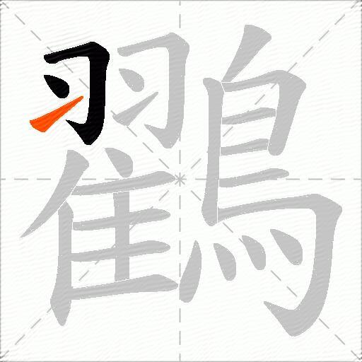 鸐