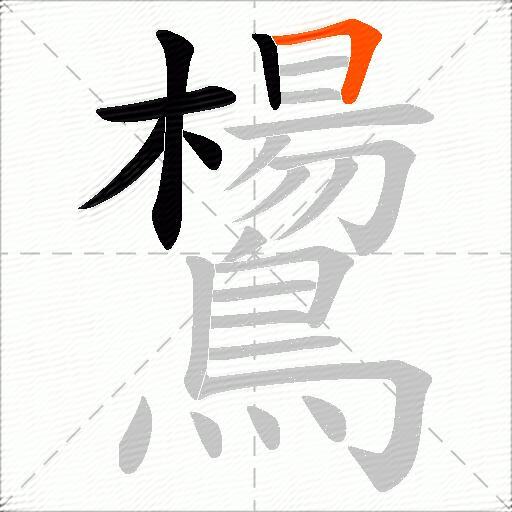 鸉
