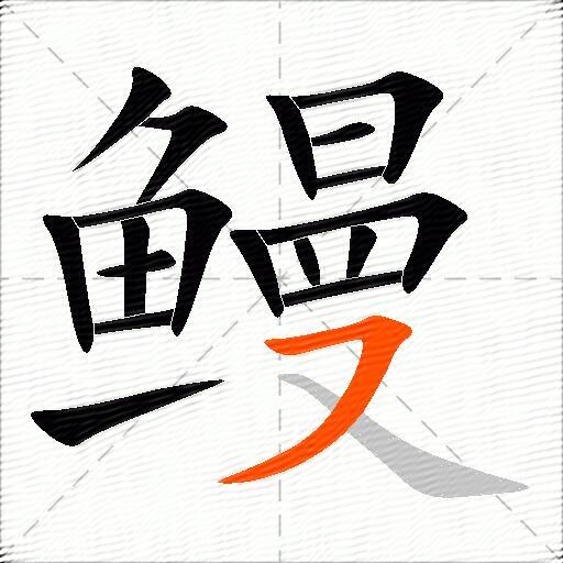 鳗
