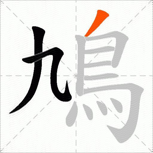 鳩