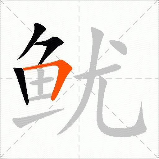 鱿