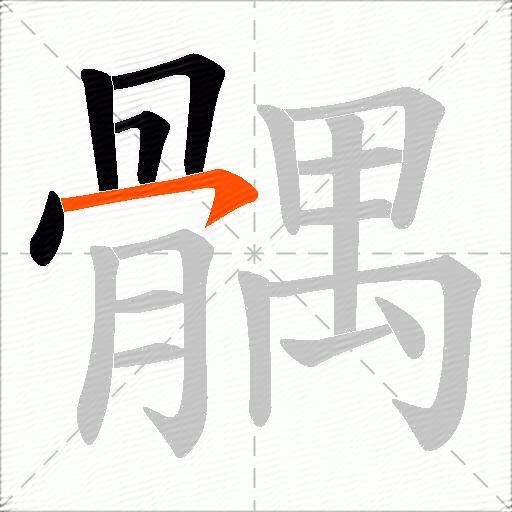 髃
