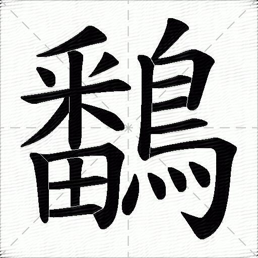 鷭