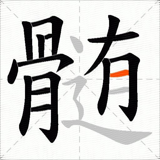 髄