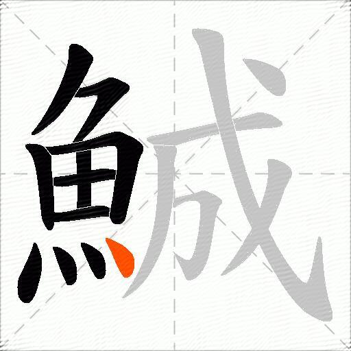 鯎