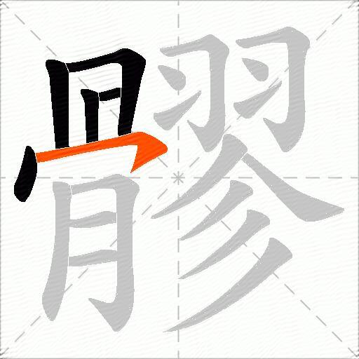 髎