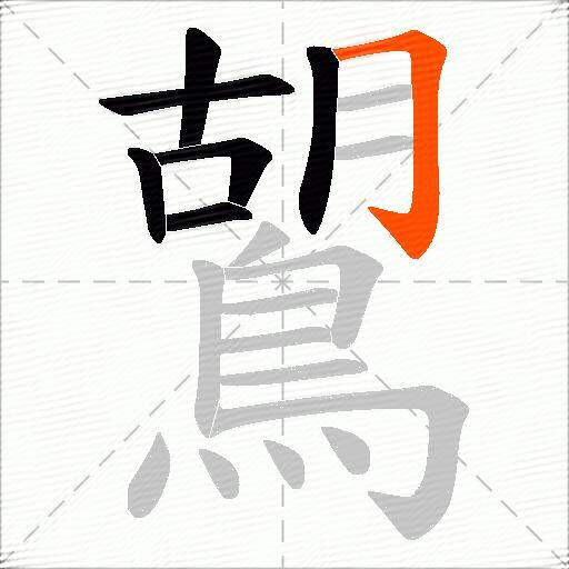 鶦