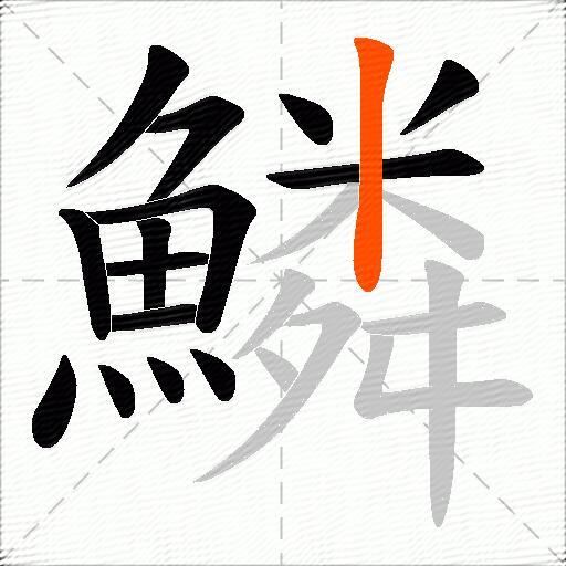 鱗