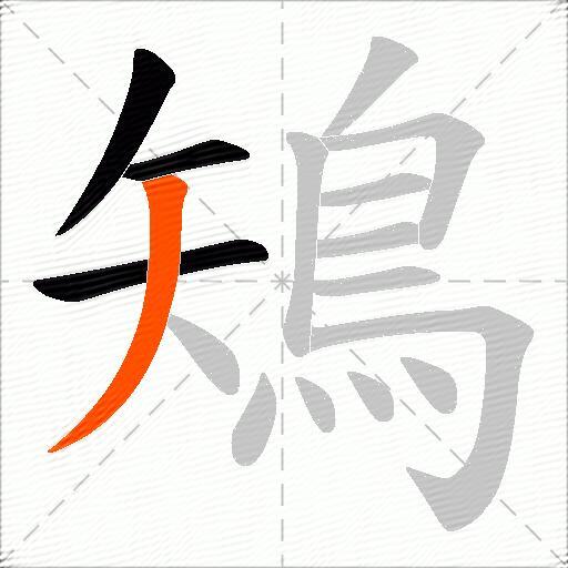 鴙