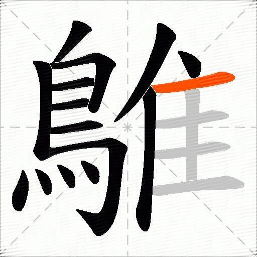 鵻