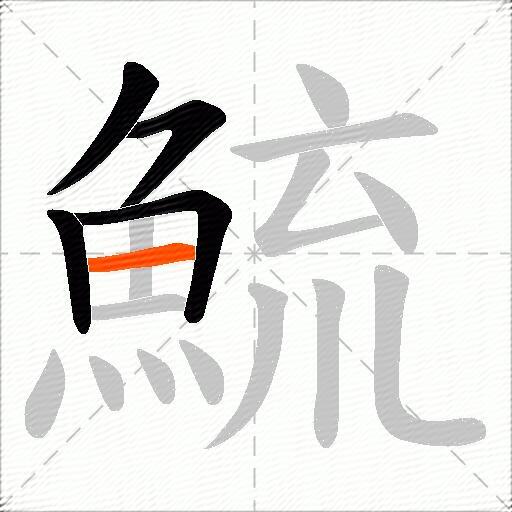 鯍