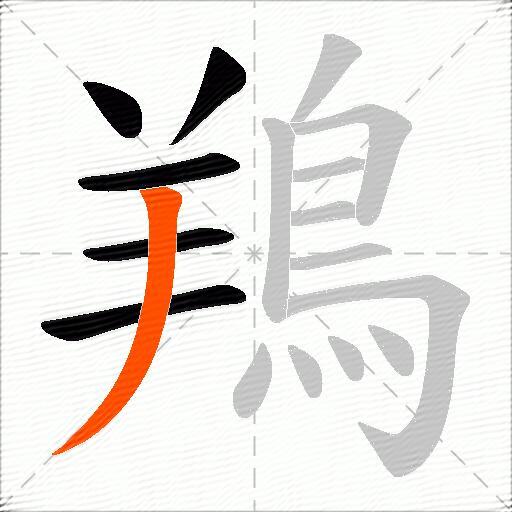 鴹