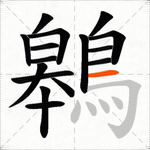 鷎