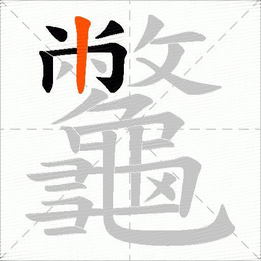 龞