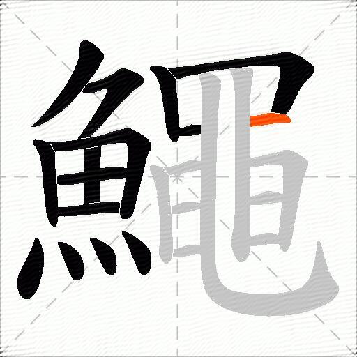 鱦