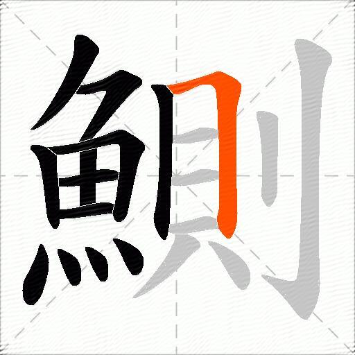 鰂