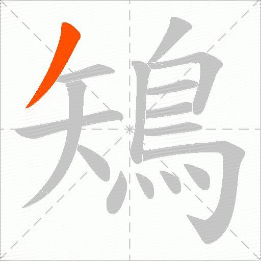 鴙