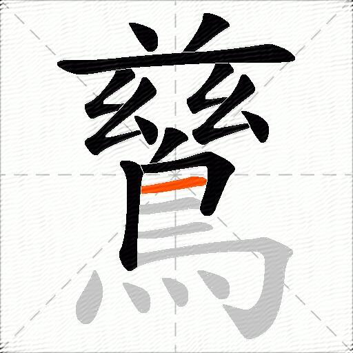 鶿