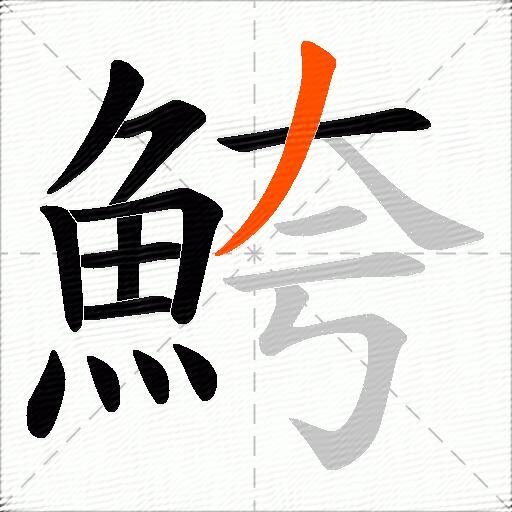 鮬
