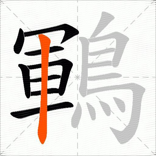鶤