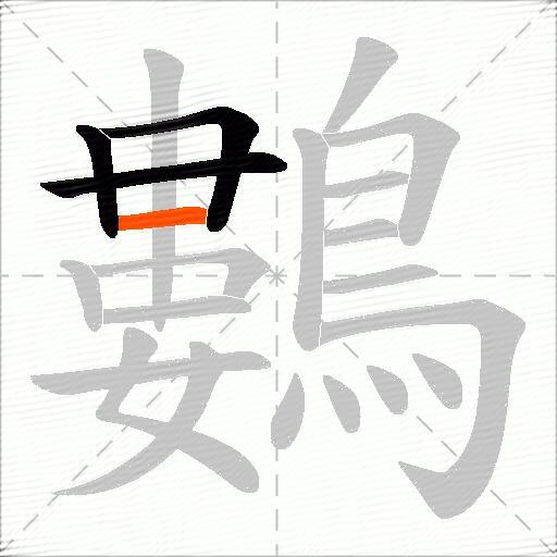 鷜