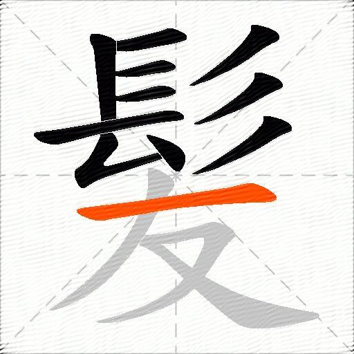髪