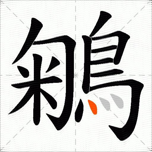 鵴