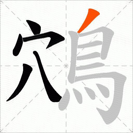 鴪