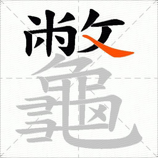 龞
